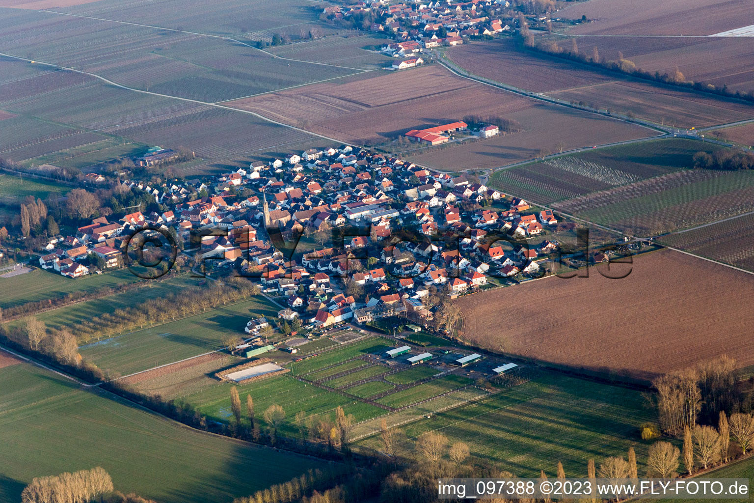 Edenkoben in the state Rhineland-Palatinate, Germany from a drone