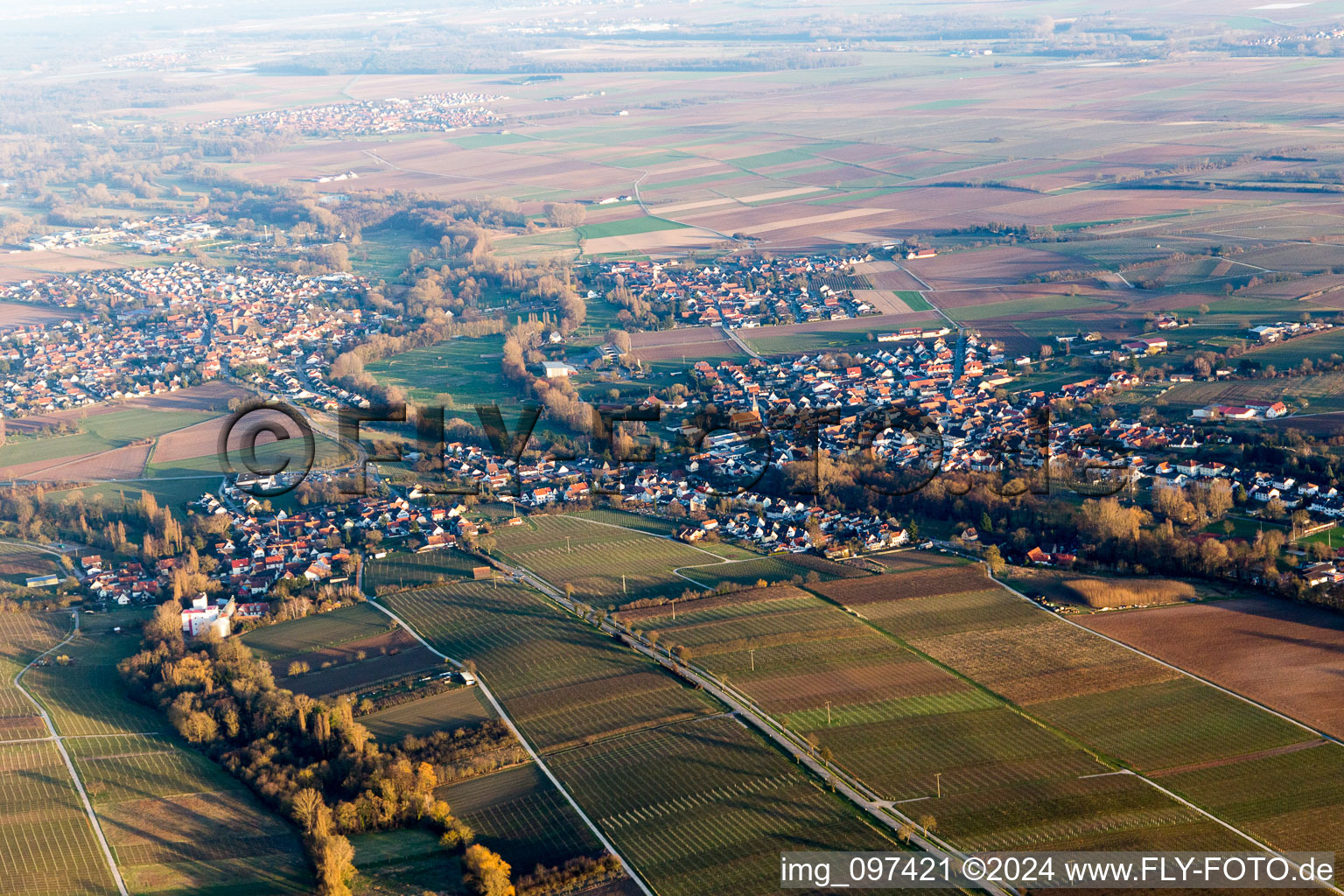 Oblique view of District Billigheim in Billigheim-Ingenheim in the state Rhineland-Palatinate, Germany