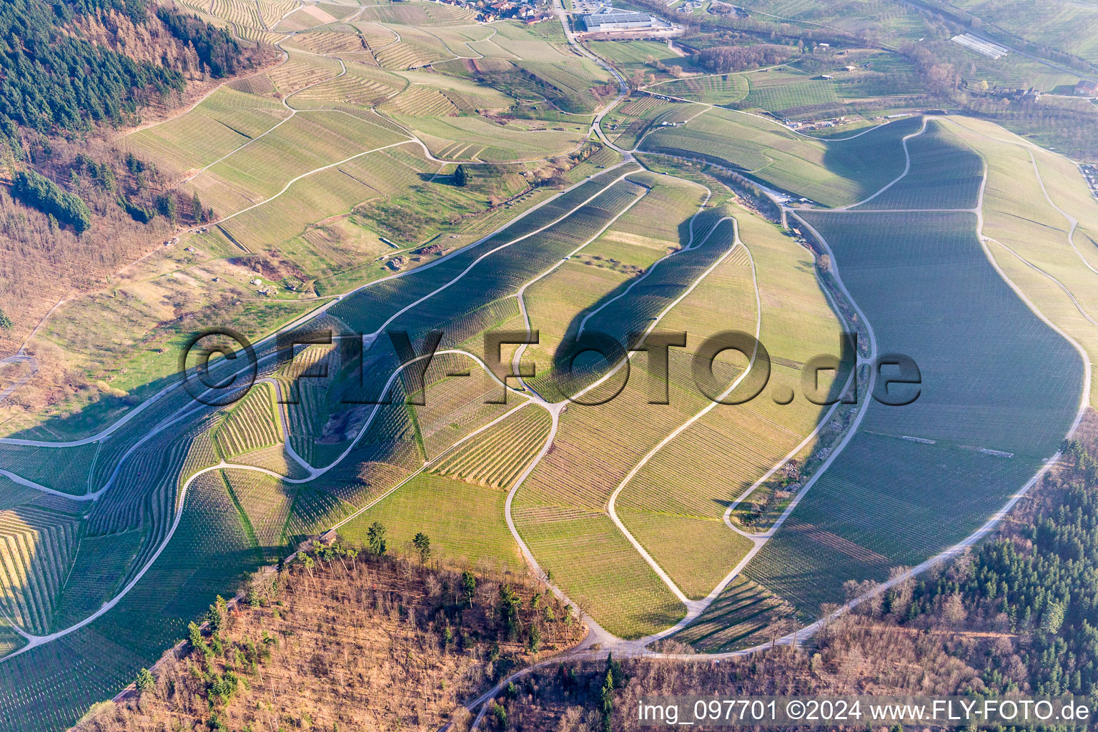 Fields of wine cultivation landscape in Kappelrodeck in the state Baden-Wurttemberg, Germany