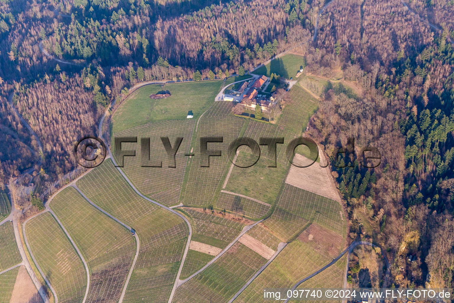 Fields of wine cultivation landscape of wine cellar Naegelsfoerst in Baden-Baden in the state Baden-Wurttemberg, Germany