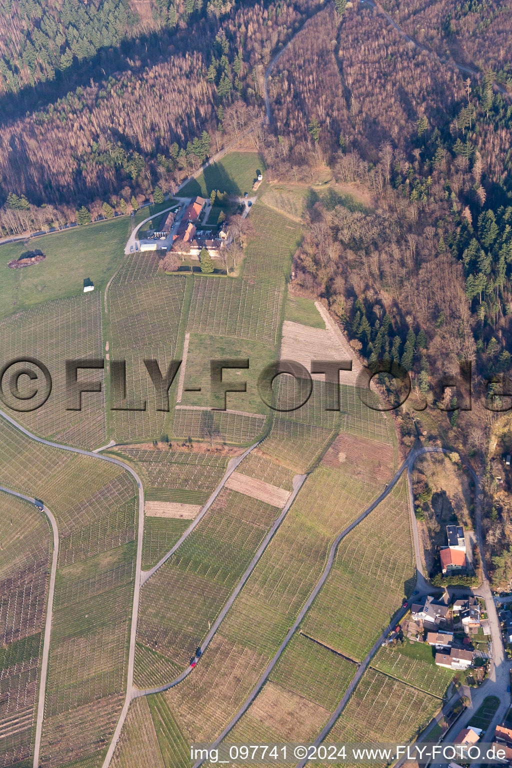 Nägelsförst Winery in the district Varnhalt in Baden-Baden in the state Baden-Wuerttemberg, Germany