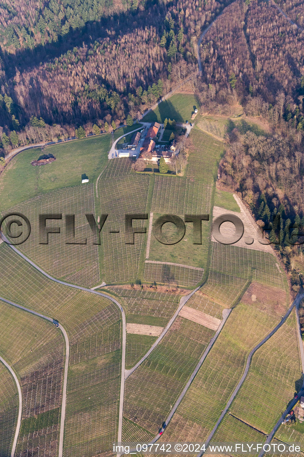 Aerial view of Fields of wine cultivation landscape of wine cellar Naegelsfoerst in Baden-Baden in the state Baden-Wurttemberg, Germany