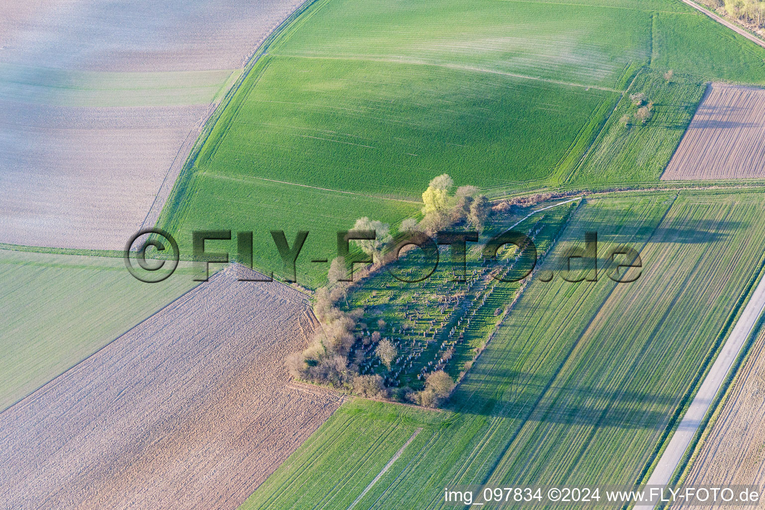 Aerial view of Grave rows on the grounds of the old jewish cemetery in Trimbach in Grand Est, France