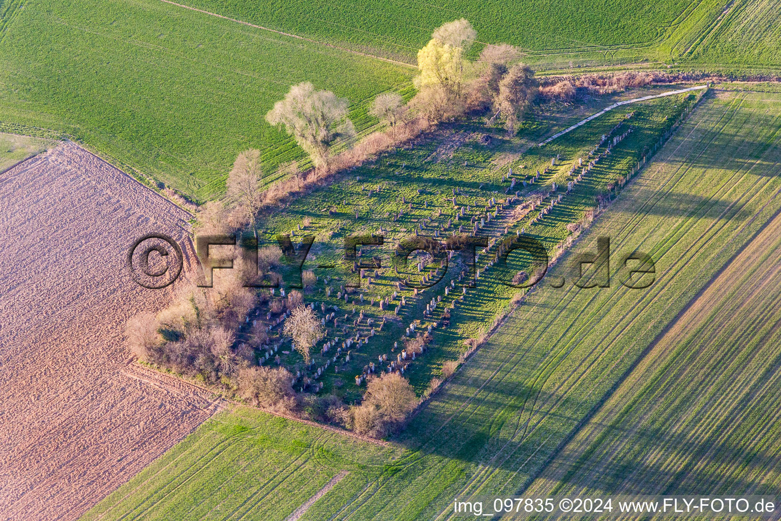 Aerial photograpy of Grave rows on the grounds of the old jewish cemetery in Trimbach in Grand Est, France