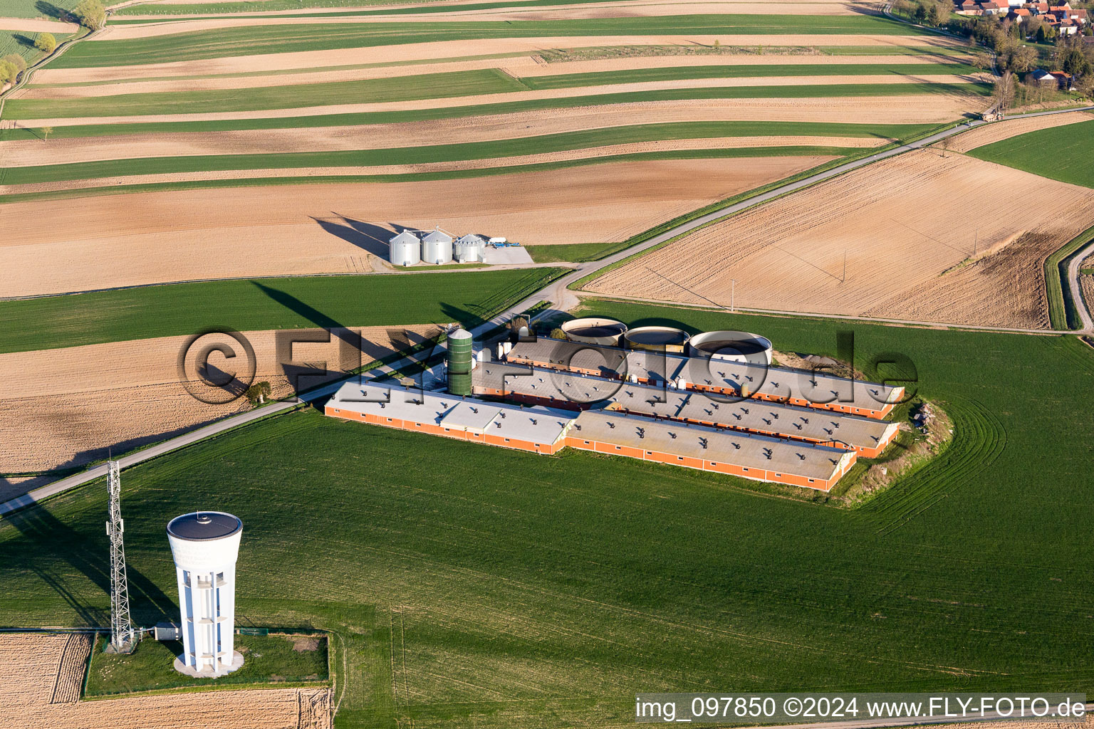 Stables for pigs at Farm on the edge of cultivated fields in Wintzenbach in Grand Est, France