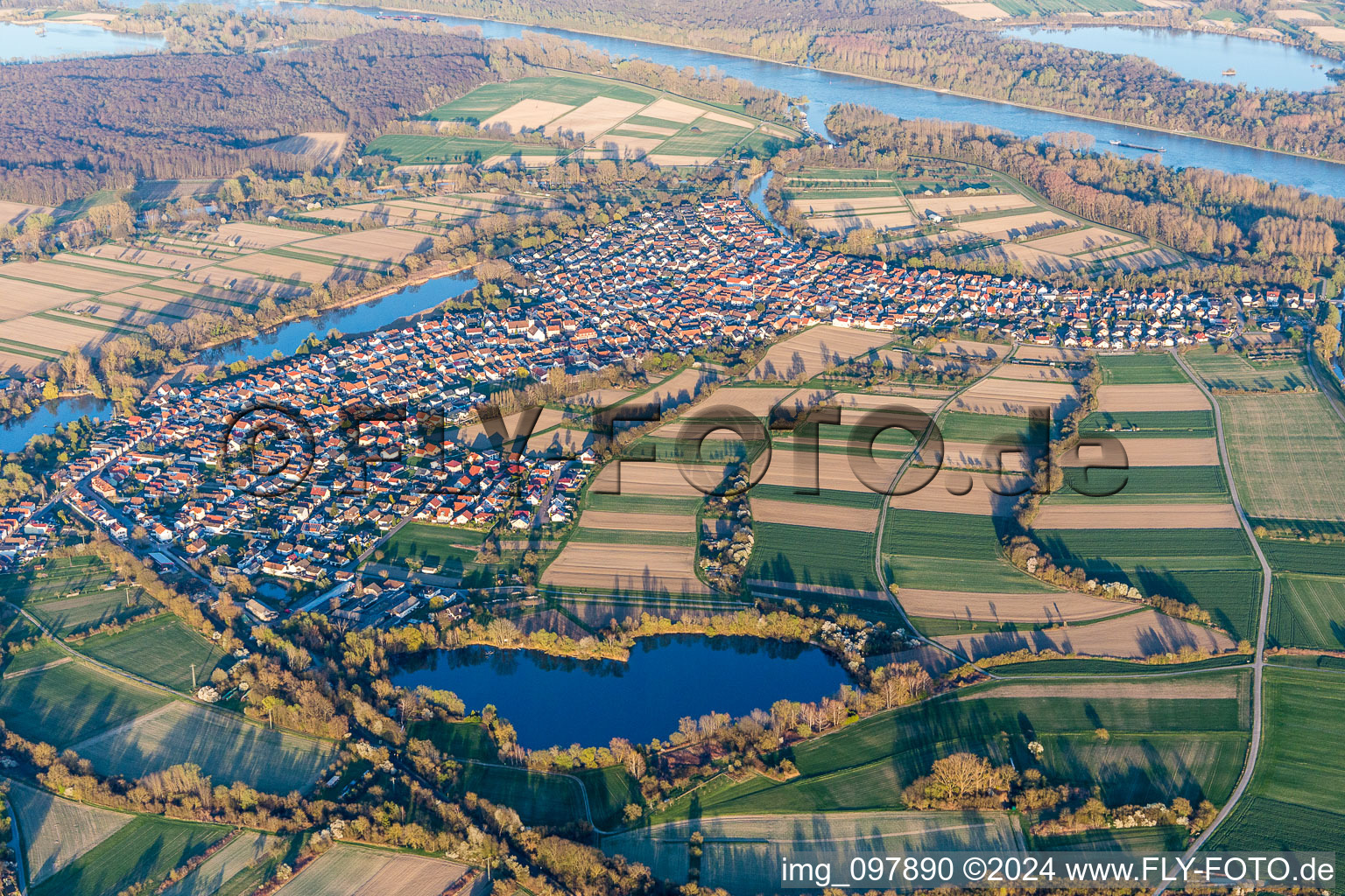 Village on the river bank areas of the Rhine river in Neuburg am Rhein in the state Rhineland-Palatinate, Germany