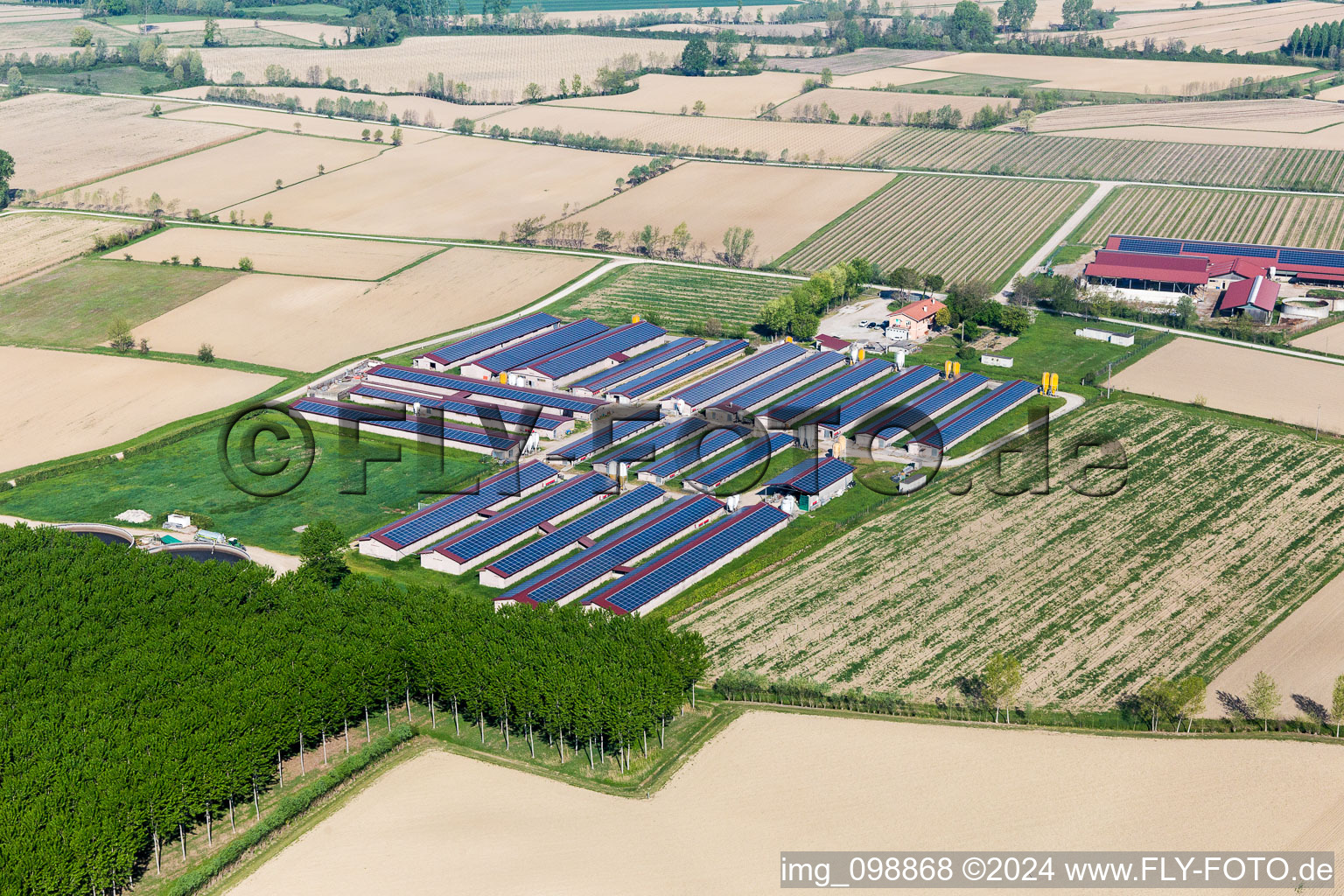 Homestead of a farm Azienda Agricola S. Fosca Di Gemin Armido & C. S.S in Savorgnano in Friuli-Venezia Giulia, Italy