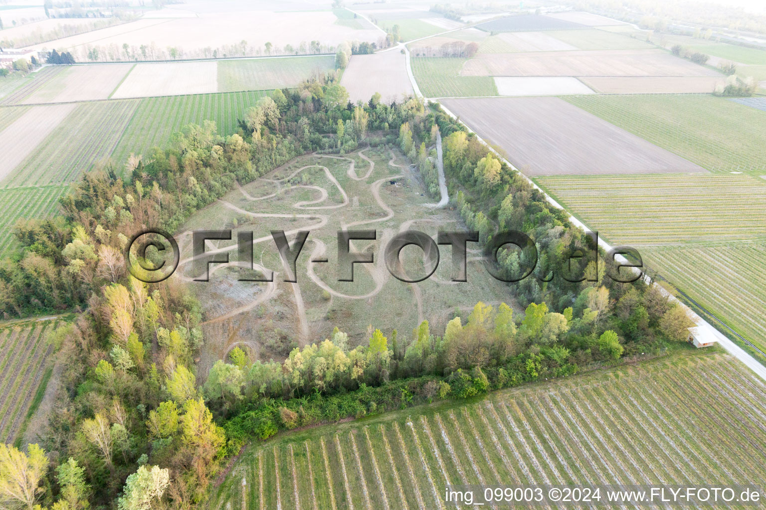 Oblique view of Domanins in the state Friuli Venezia Giulia, Italy