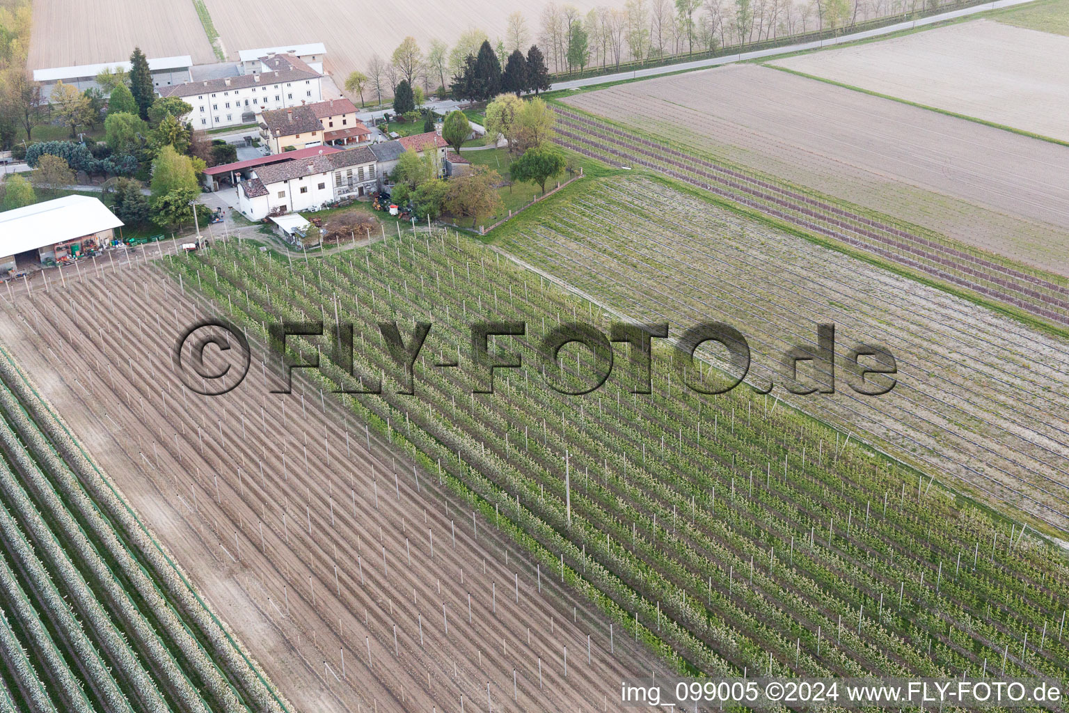 Domanins in the state Friuli Venezia Giulia, Italy from above