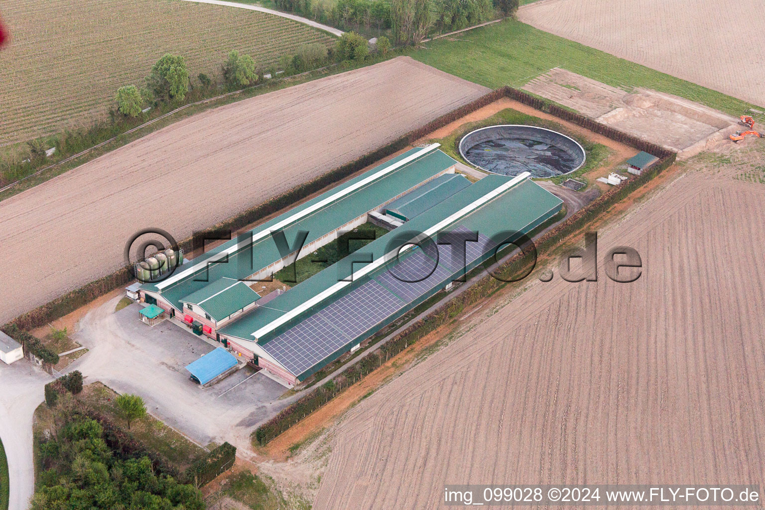 Aerial view of Grava in the state Friuli Venezia Giulia, Italy