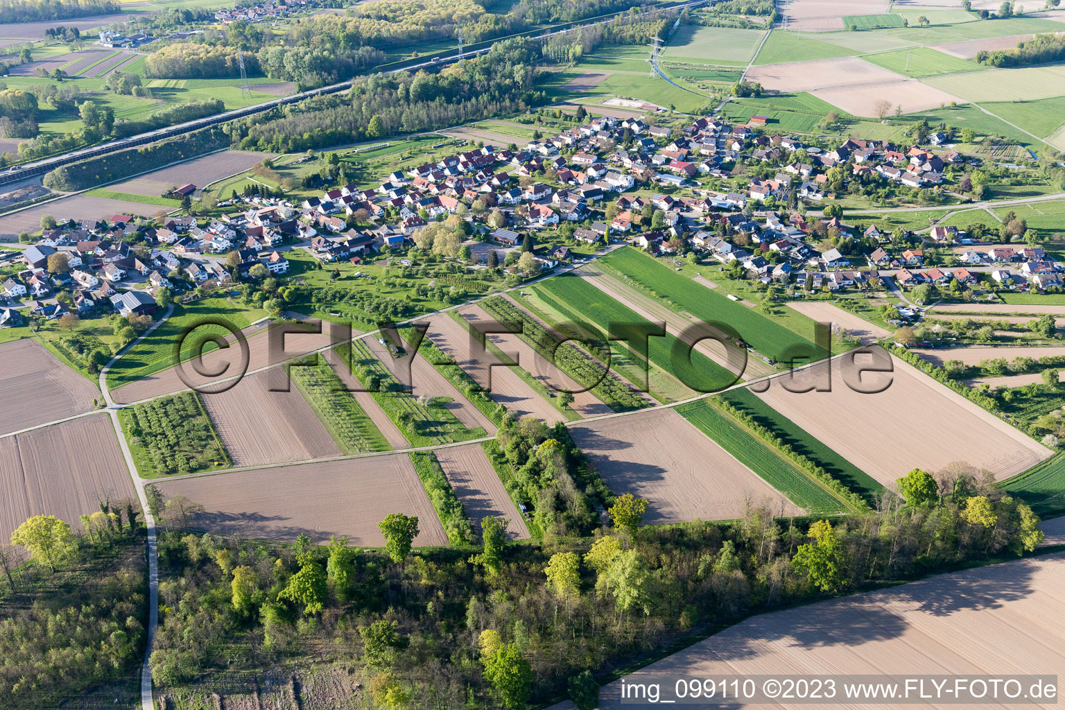 Aerial view of District Balzhofen in Bühl in the state Baden-Wuerttemberg, Germany