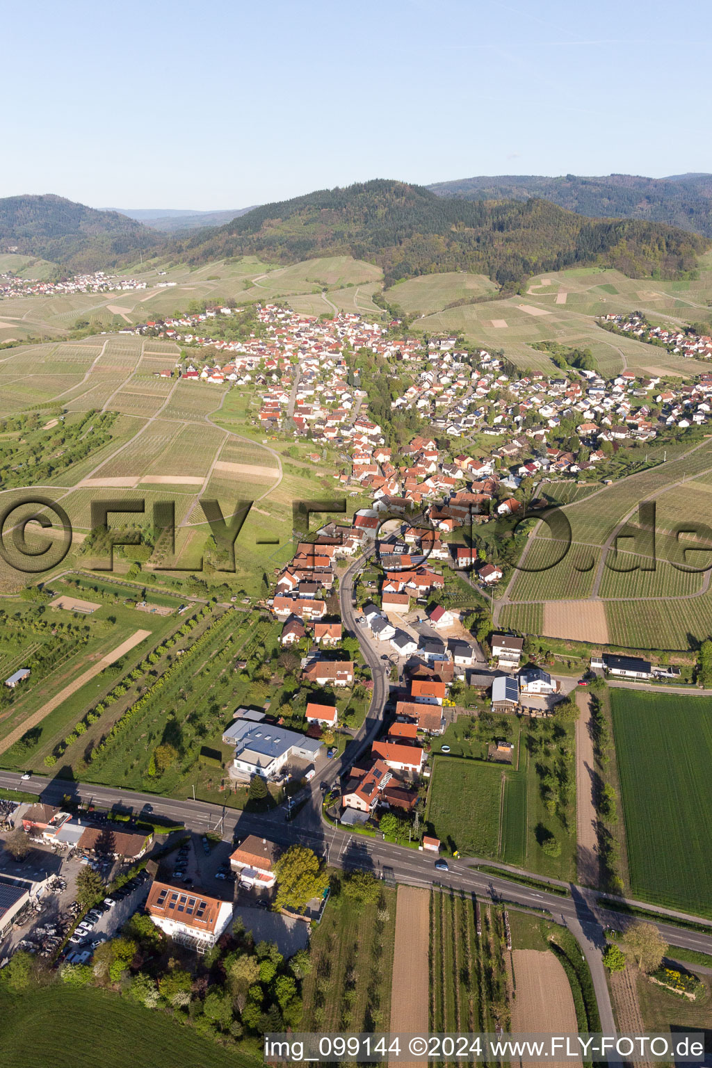 Oblique view of District Eisental in Bühl in the state Baden-Wuerttemberg, Germany