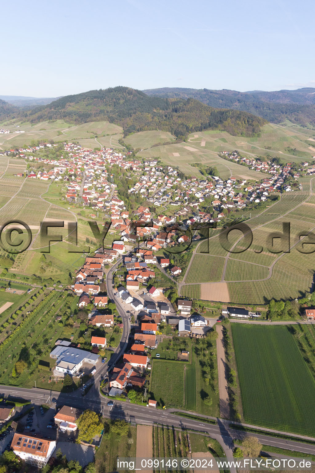 District Eisental in Bühl in the state Baden-Wuerttemberg, Germany out of the air