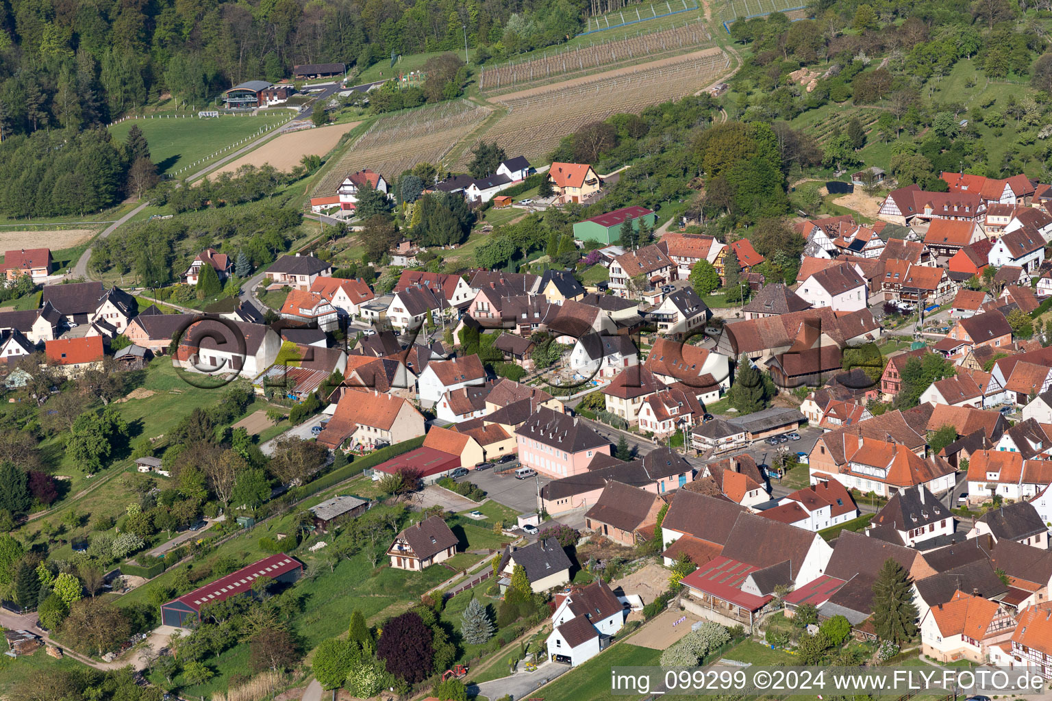 Rott in the state Bas-Rhin, France from the drone perspective