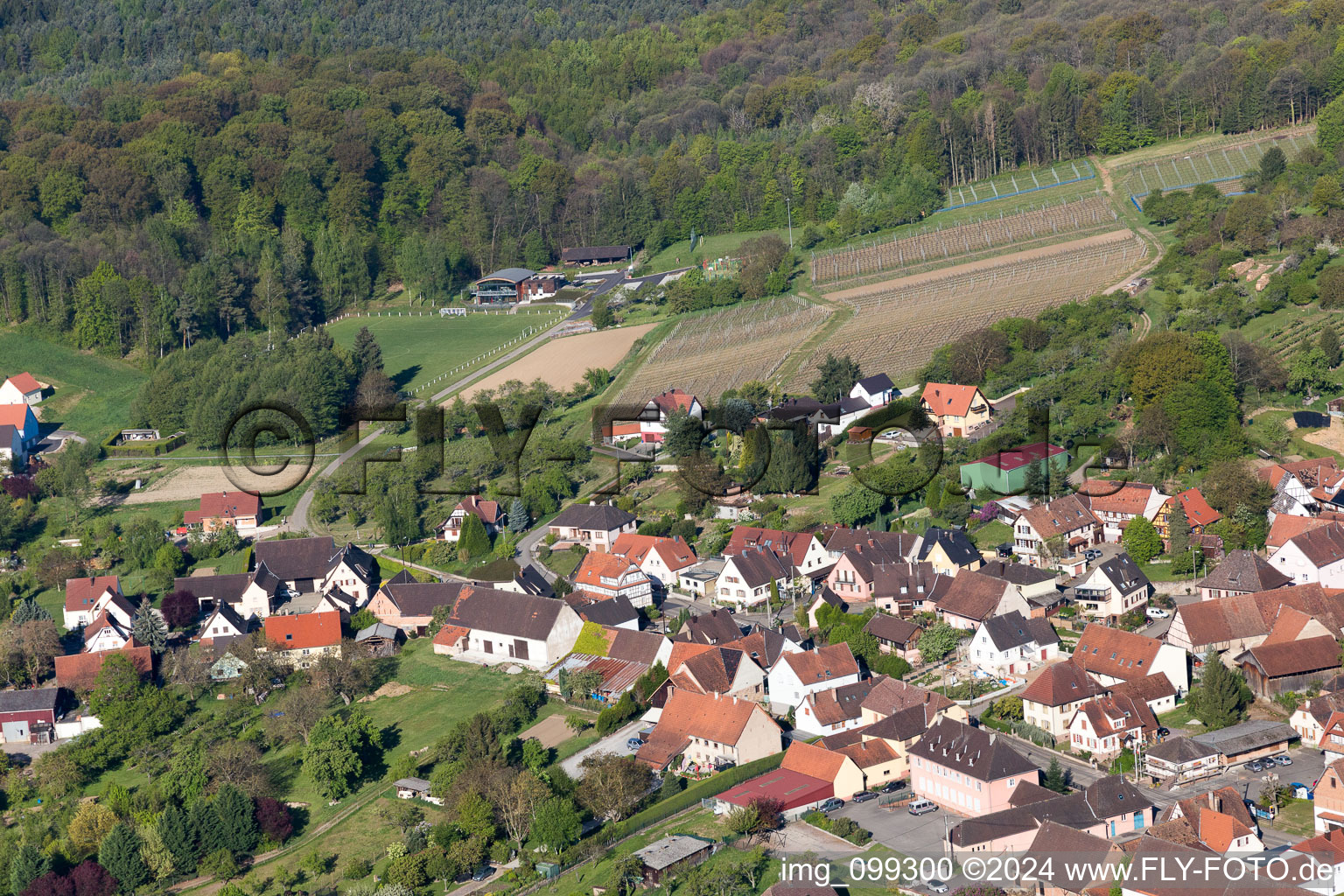 Rott in the state Bas-Rhin, France from a drone