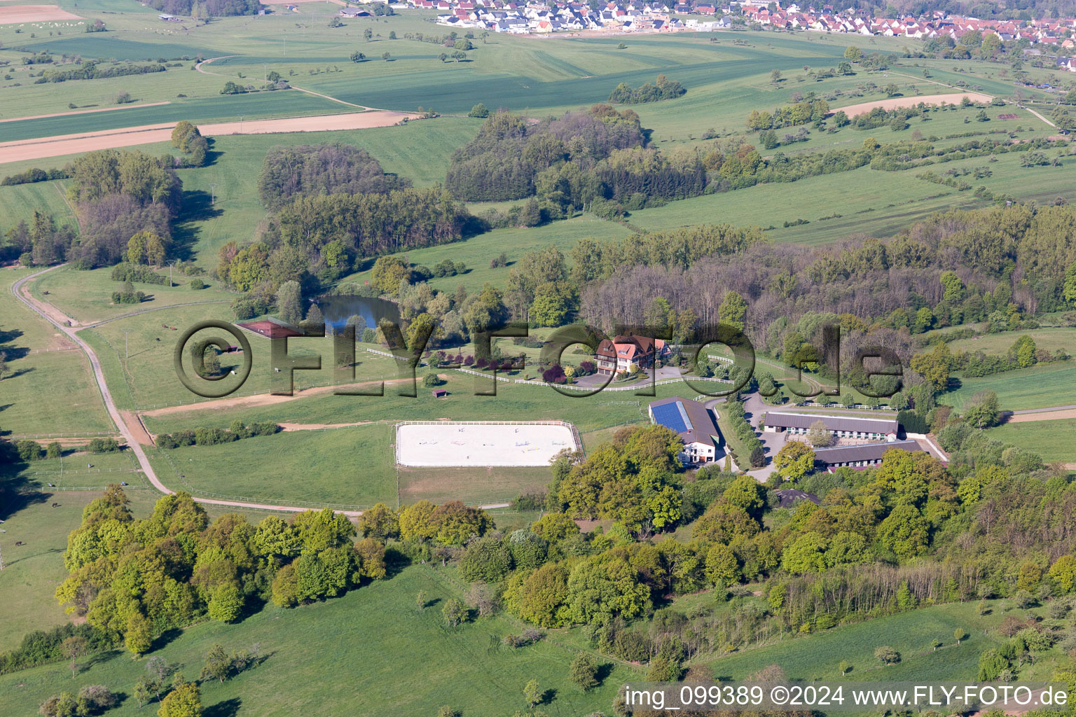 Haras Lerchenberg in Gundershoffen in the state Bas-Rhin, France