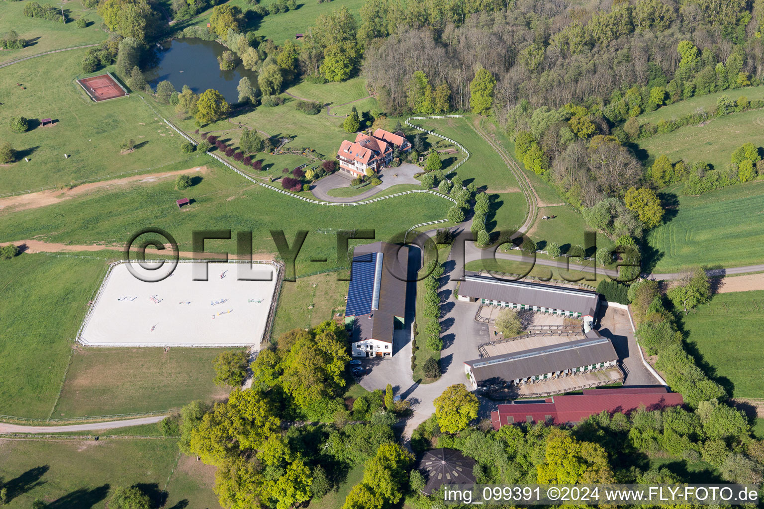 Am Froeschenberg, Haras Lerchenberg in Gundershoffen in the state Bas-Rhin, France