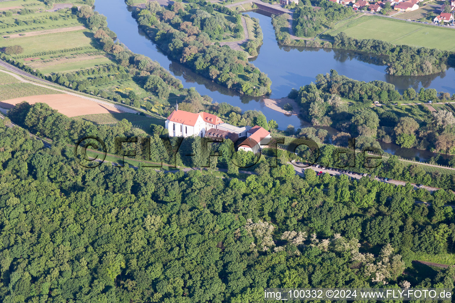 Mainhang at the Vogelsburg and Church of the Protection of Mary in the district Escherndorf in Volkach in the state Bavaria, Germany