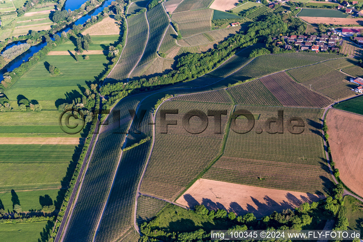 Wine-growing area Neuerer Glatzen in the district Neuses am Berg in Dettelbach in the state Bavaria, Germany