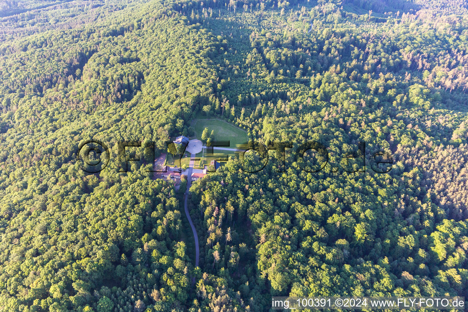 Aerial view of Farmstead in the forest in Abtswind in the state Bavaria, Germany