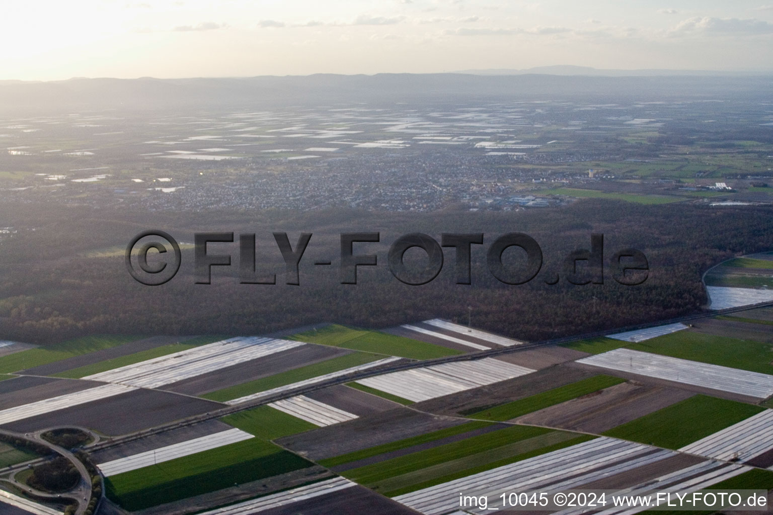 Otterstadt in the state Rhineland-Palatinate, Germany from above