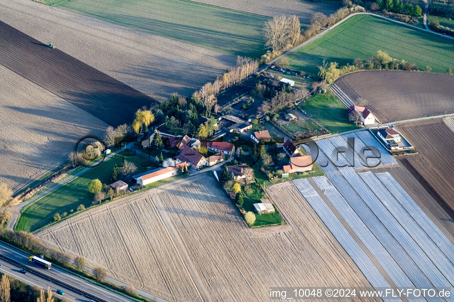 Otterstadt in the state Rhineland-Palatinate, Germany out of the air