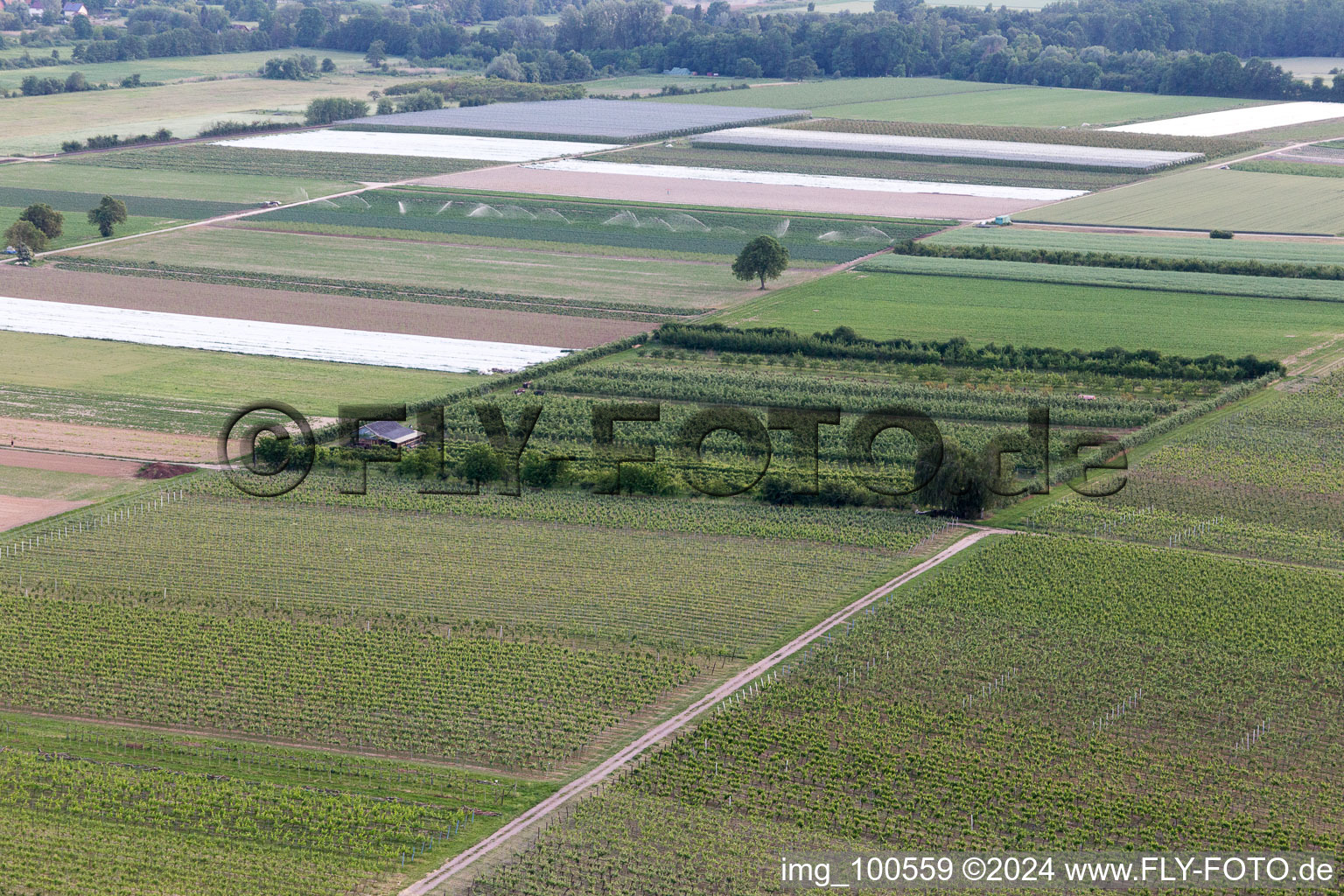 Eier-Meier's Fruit Plantation in Winden in the state Rhineland-Palatinate, Germany