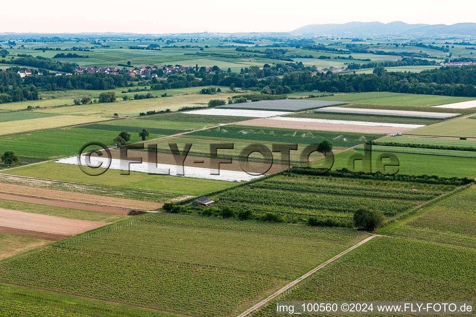 Aerial view of Eier-Meier's Fruit Plantation in Winden in the state Rhineland-Palatinate, Germany