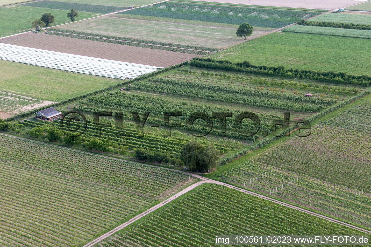 Aerial photograpy of Eier-Meier's orchard in Winden in the state Rhineland-Palatinate, Germany