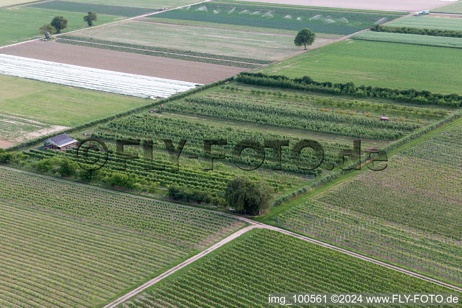 Aerial photograpy of Eier-Meier's Fruit Plantation in Winden in the state Rhineland-Palatinate, Germany