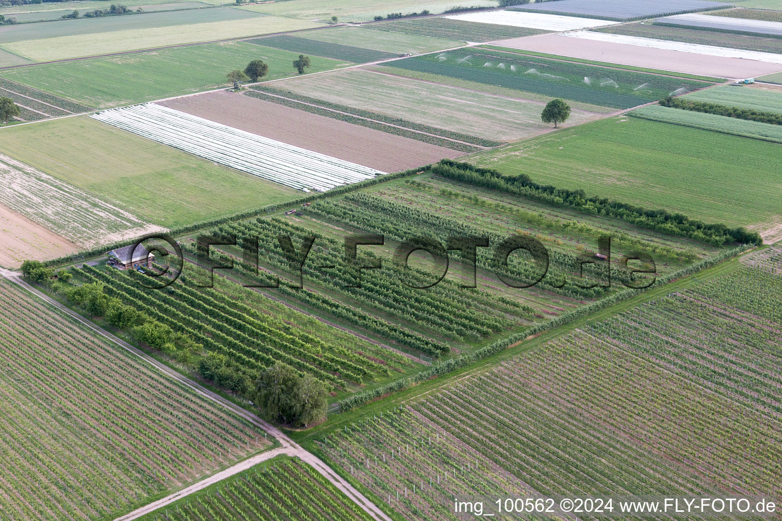 Oblique view of Eier-Meier's Fruit Plantation in Winden in the state Rhineland-Palatinate, Germany