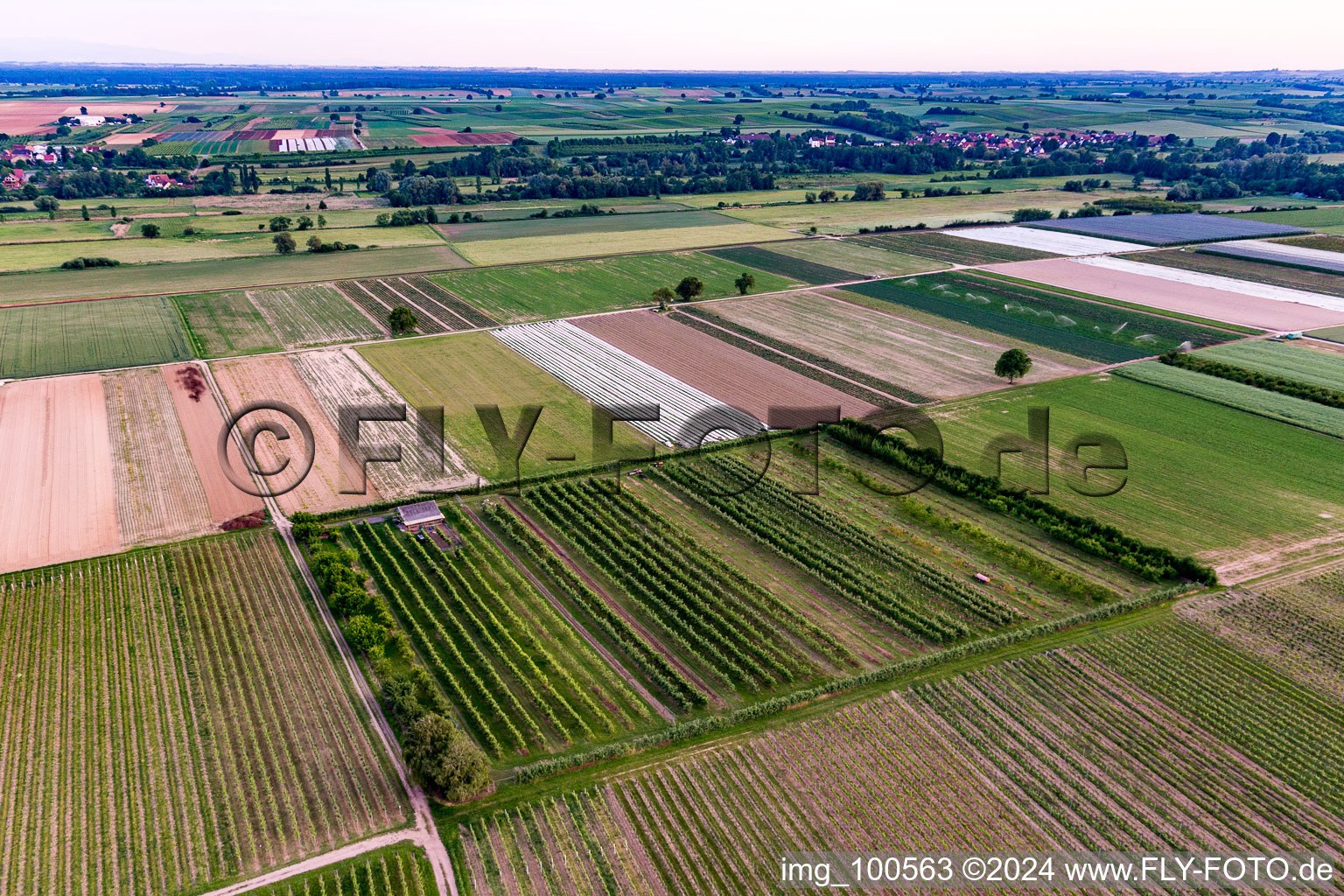 Eier-Meier's Fruit Plantation in Winden in the state Rhineland-Palatinate, Germany from above