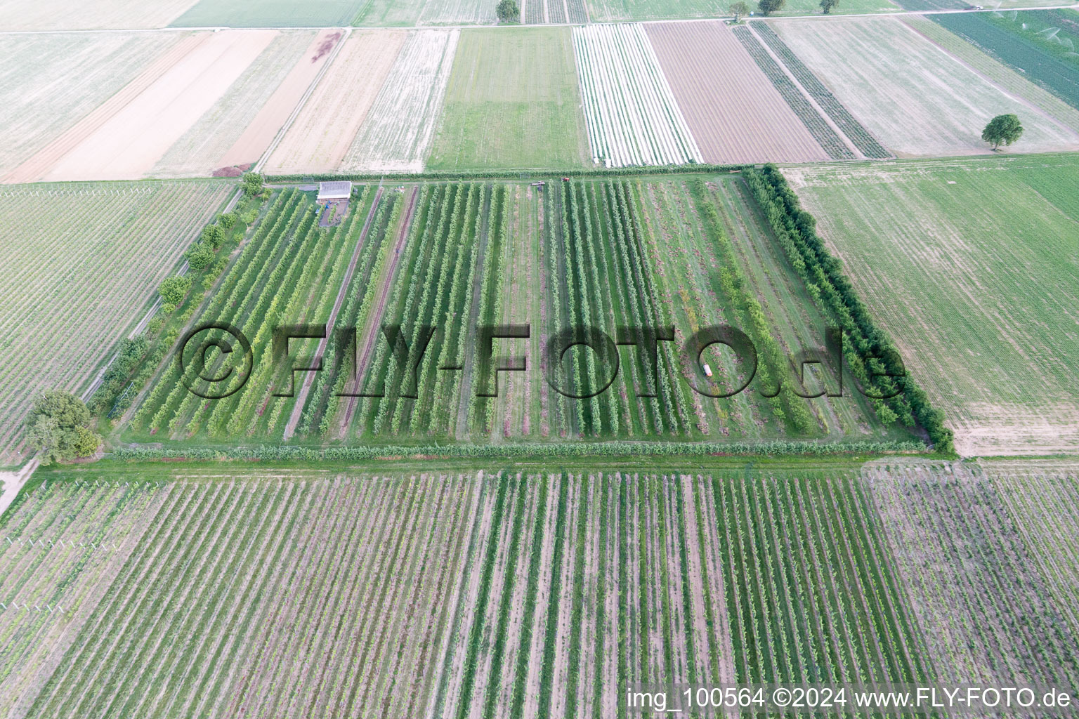 Eier-Meier's Fruit Plantation in Winden in the state Rhineland-Palatinate, Germany out of the air