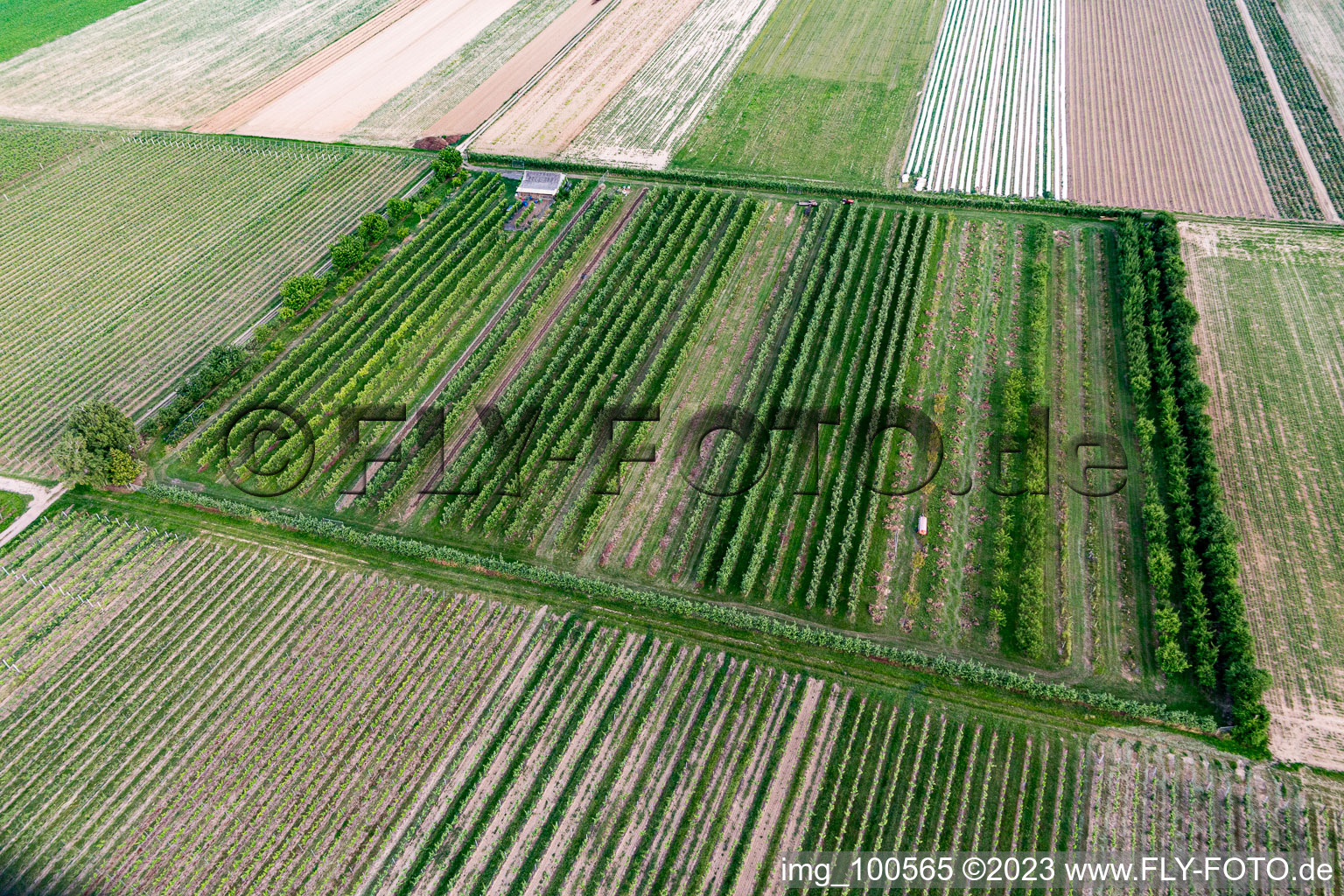 Eier-Meier's orchard in Winden in the state Rhineland-Palatinate, Germany seen from above