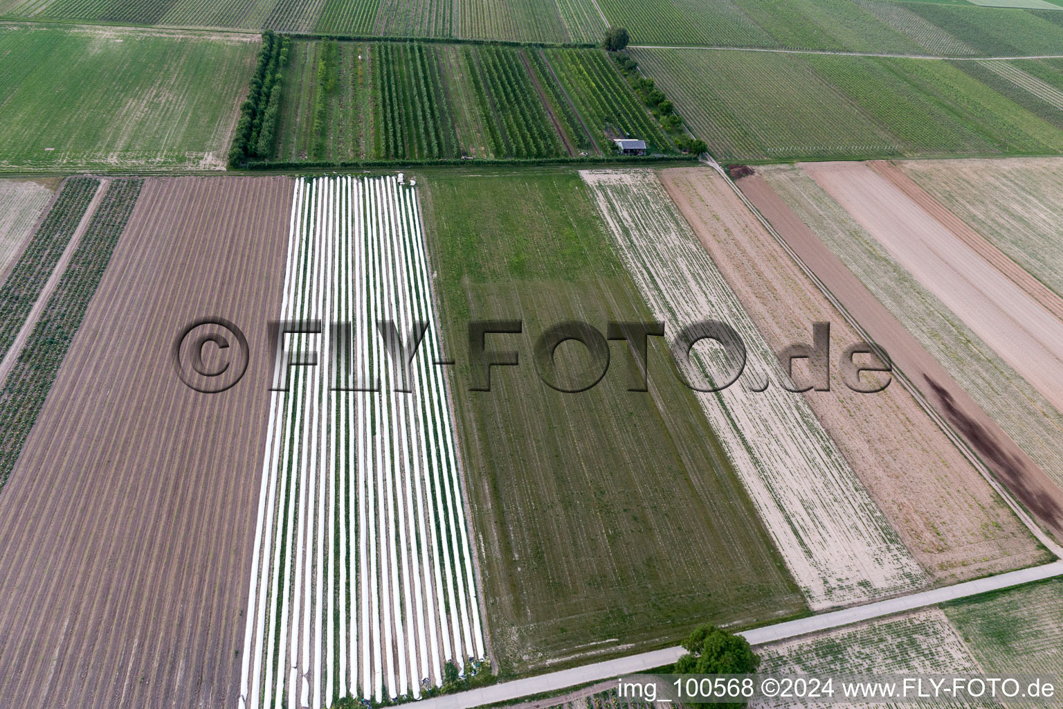 Eier-Meier's Fruit Plantation in Winden in the state Rhineland-Palatinate, Germany from the plane