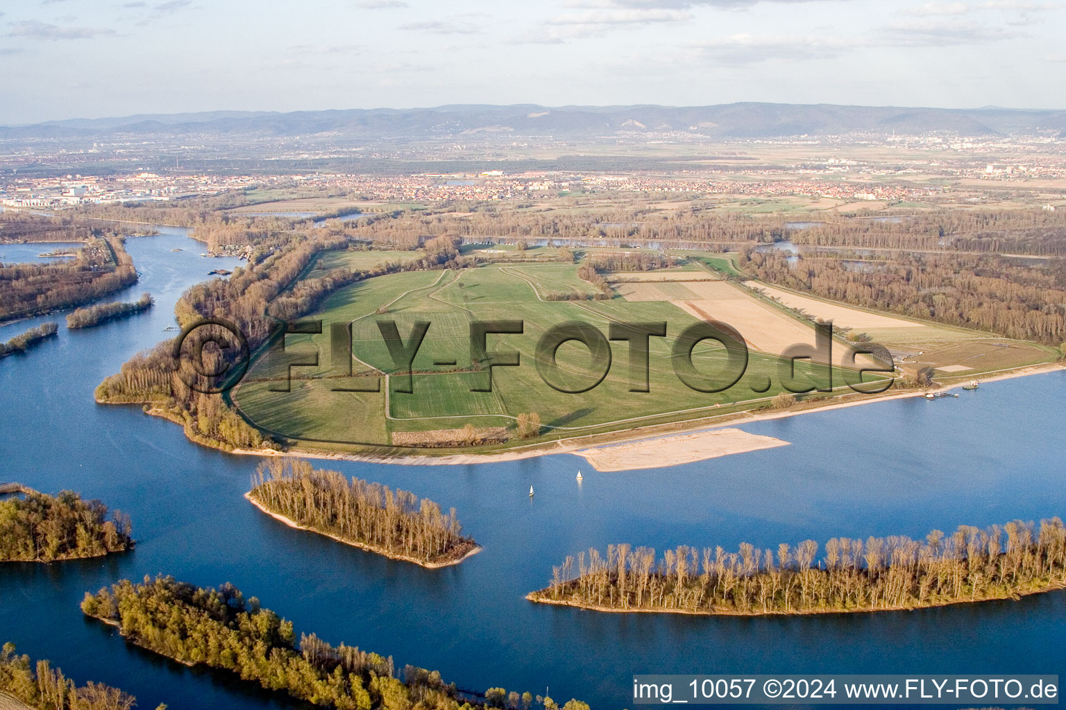 Koller-Island on the banks of the river course Koller Lake and Otterstaedter Altrhein in Otterstadt in the state Rhineland-Palatinate, Germany