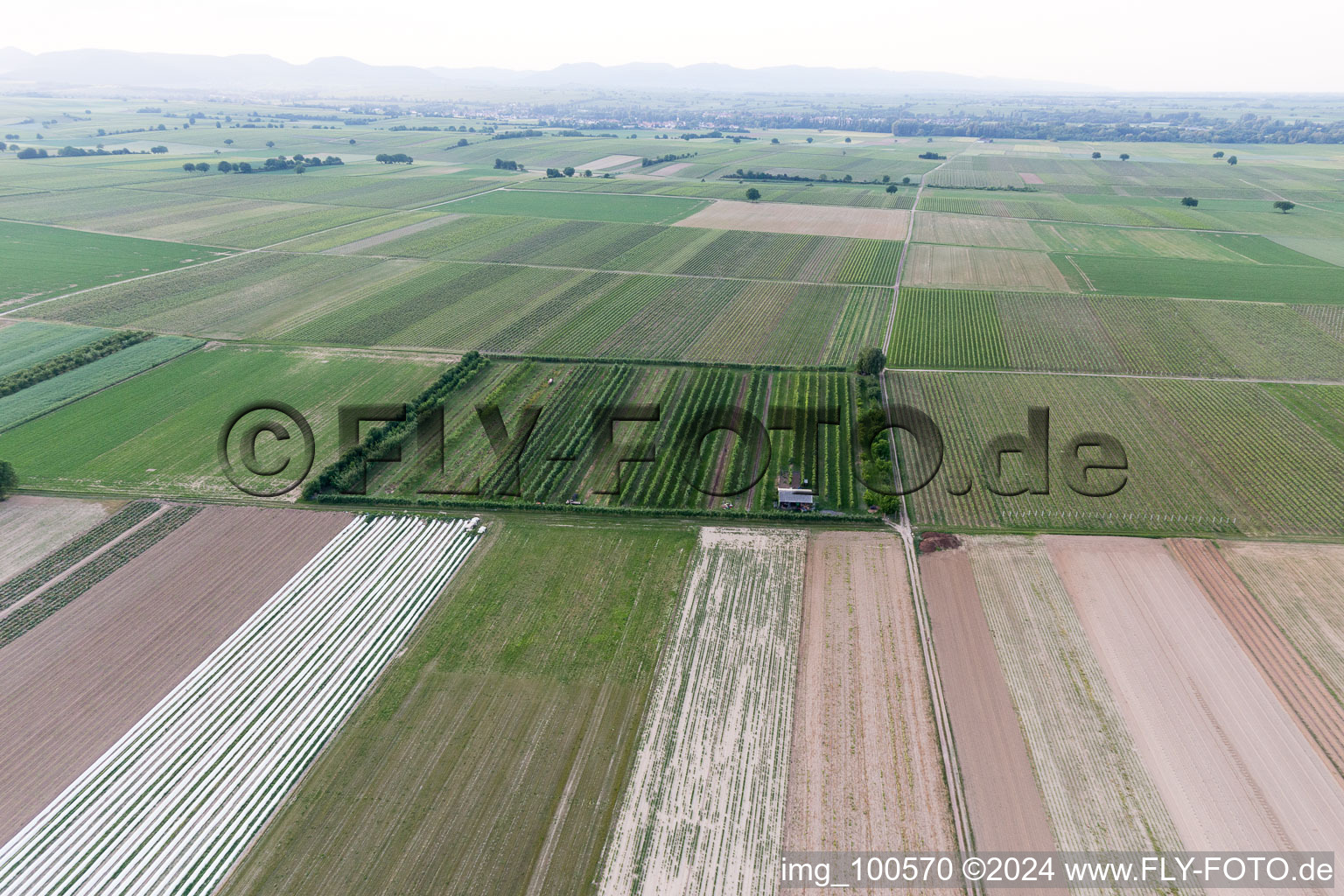 Bird's eye view of Eier-Meier's Fruit Plantation in Winden in the state Rhineland-Palatinate, Germany