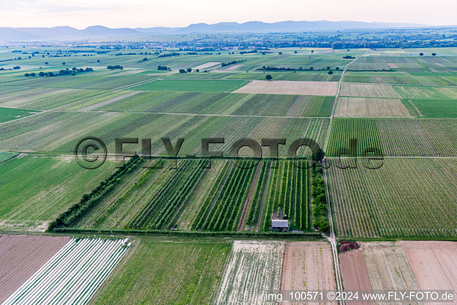 Eier-Meier's Fruit Plantation in Winden in the state Rhineland-Palatinate, Germany viewn from the air