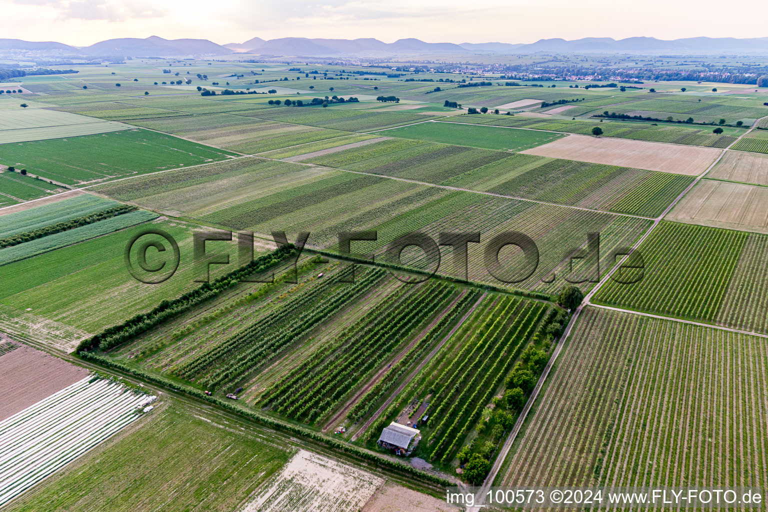 Drone recording of Eier-Meier's Fruit Plantation in Winden in the state Rhineland-Palatinate, Germany