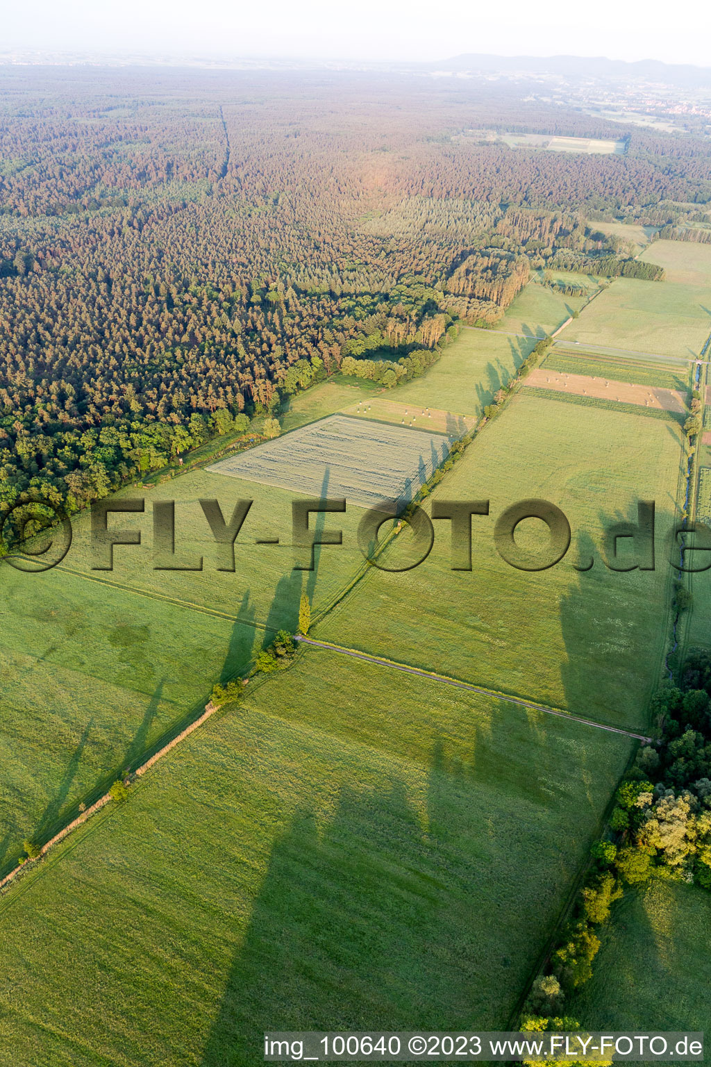 Freckenfeld in the state Rhineland-Palatinate, Germany seen from a drone