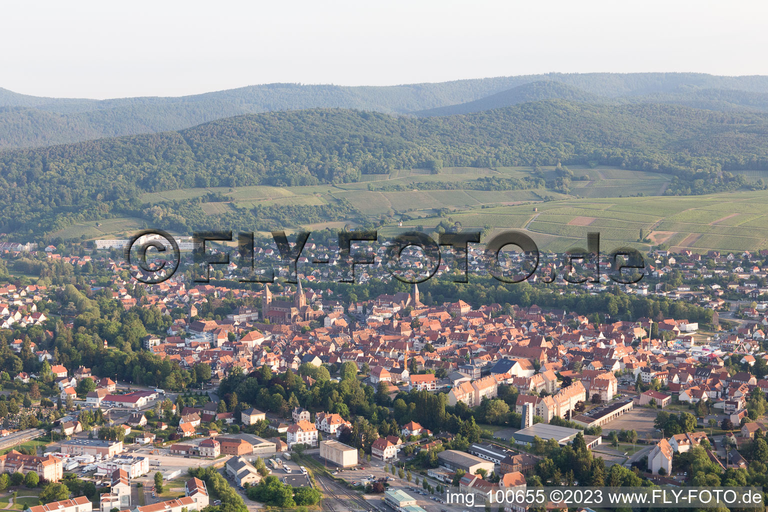 Altenstadt in the state Bas-Rhin, France from above
