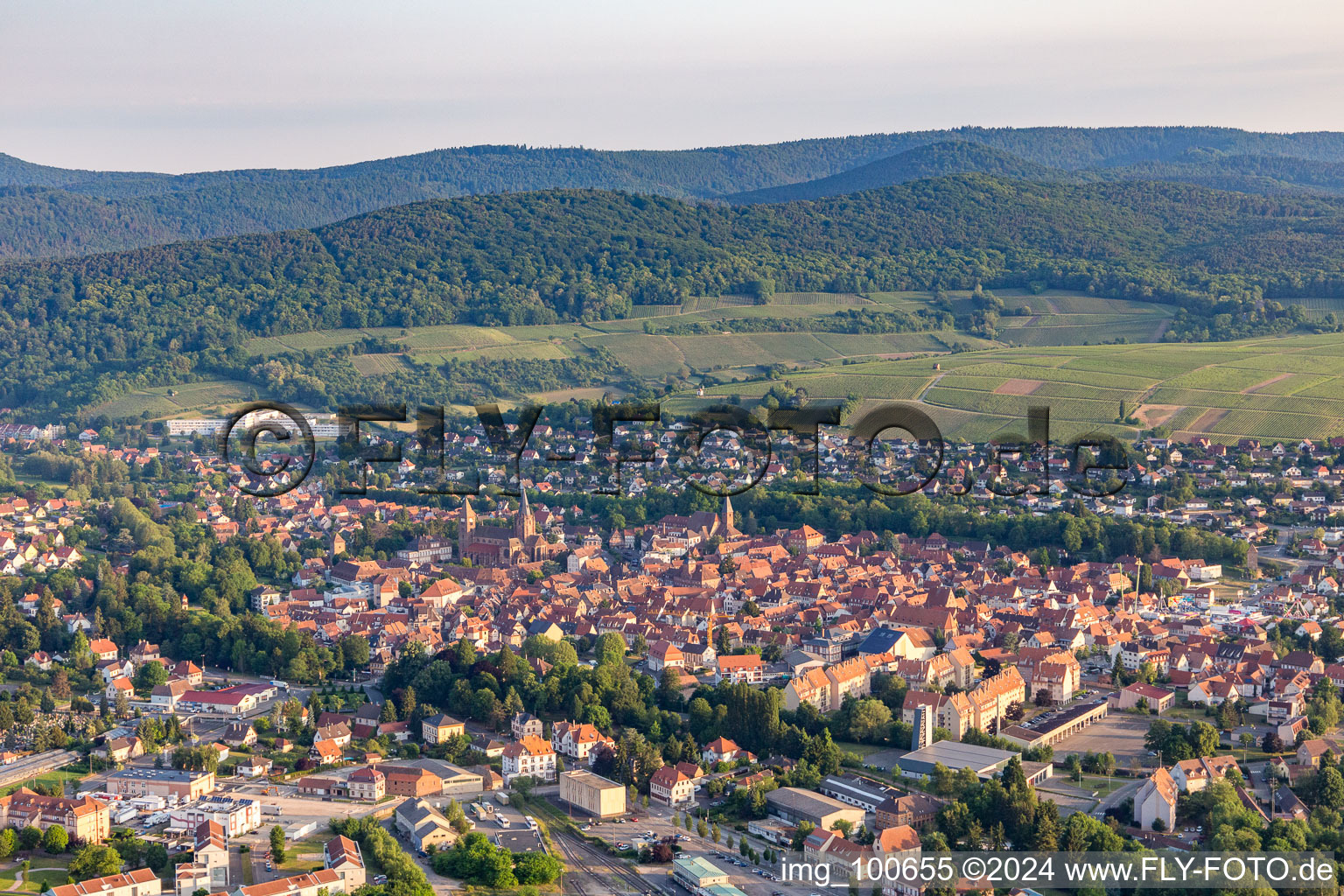 Altenstadt in the state Bas-Rhin, France from above