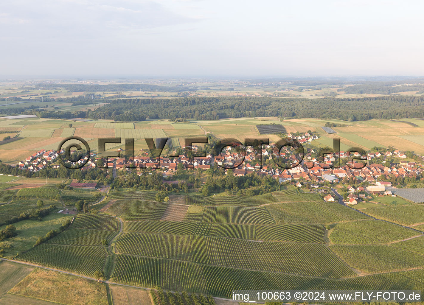 Steinseltz in the state Bas-Rhin, France from a drone