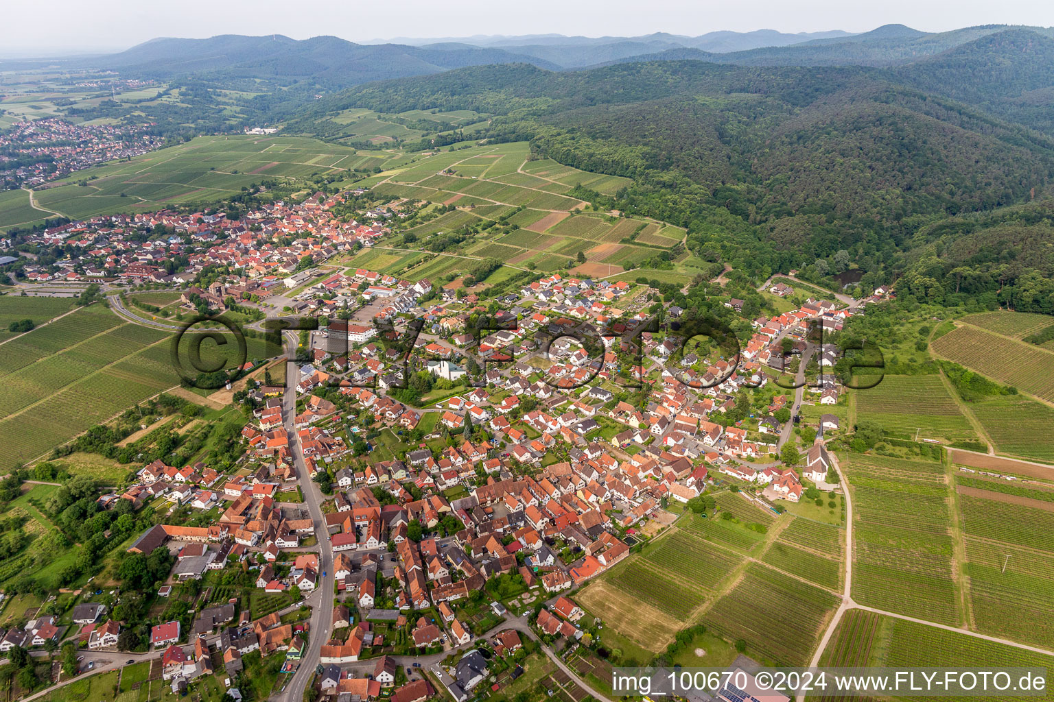 Aerial view of Village - view on the edge of wineyards and forsts in Rechtenbach in the state Rhineland-Palatinate, Germany