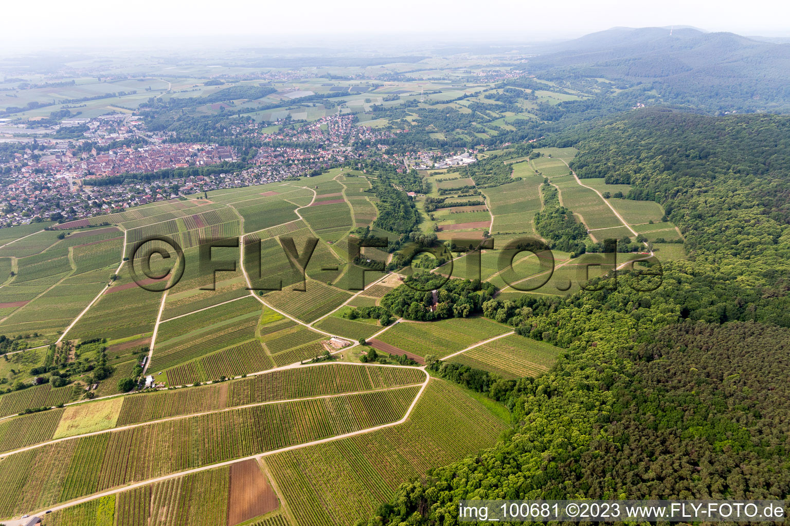 District Schweigen in Schweigen-Rechtenbach in the state Rhineland-Palatinate, Germany viewn from the air