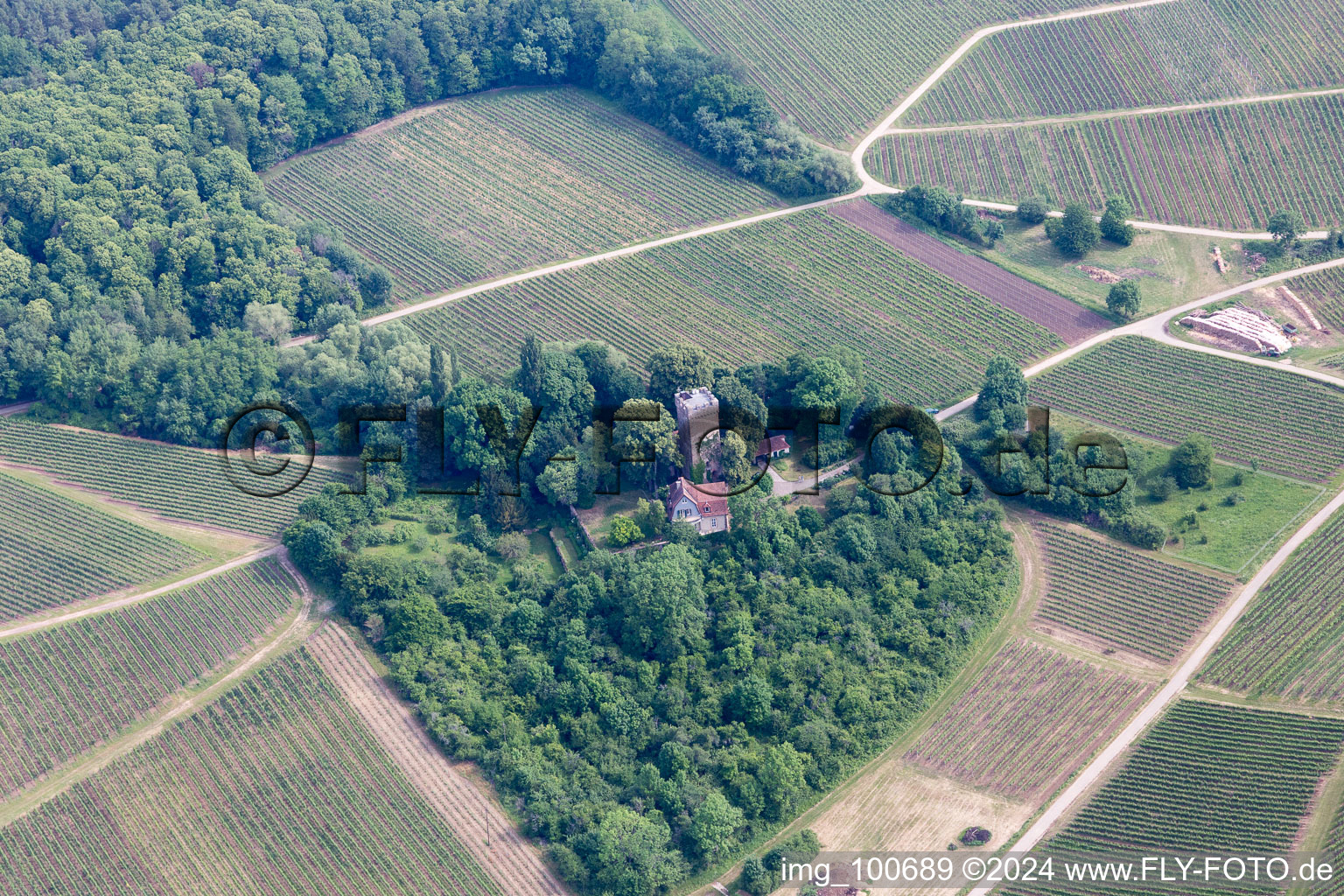 Sonnenberg in the district Schweigen in Schweigen-Rechtenbach in the state Rhineland-Palatinate, Germany