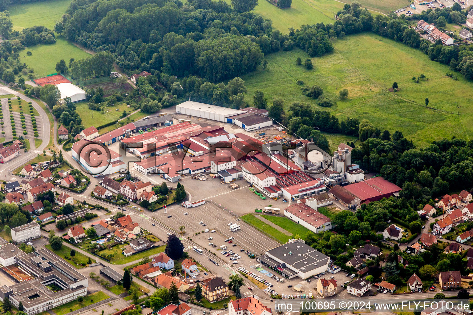 Building and production halls on the premises of motor home construction Burstner SA in Wissembourg in Grand Est, France