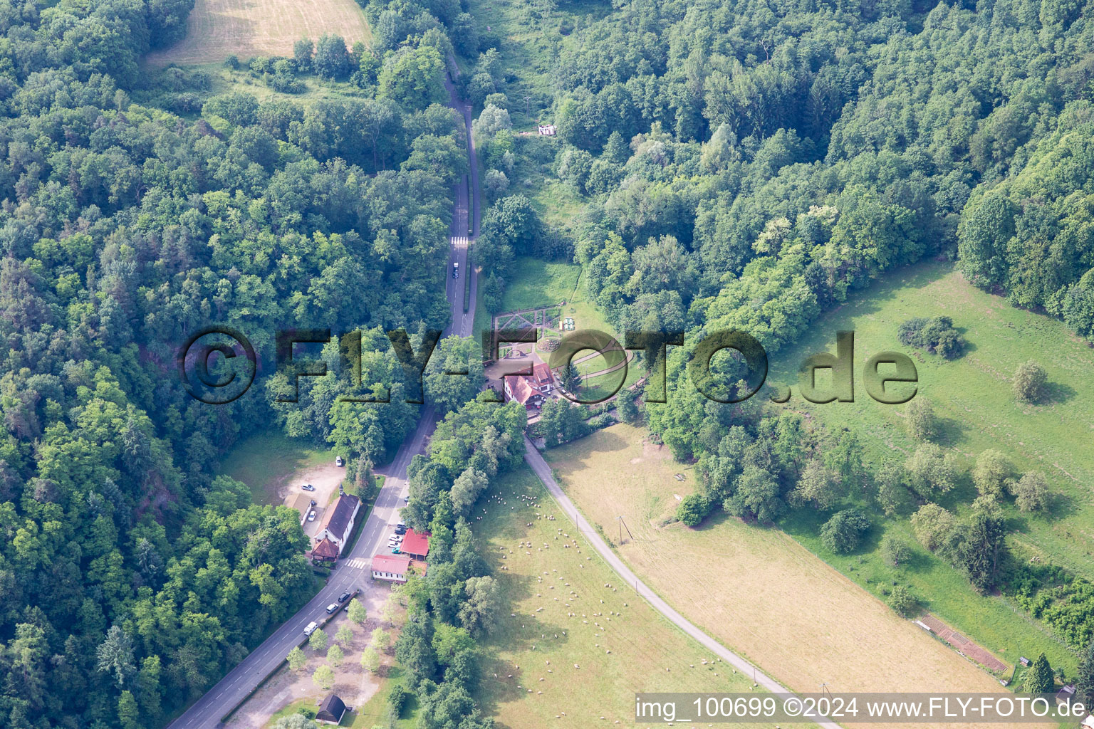 Aerial view of Sankt Germannshof in the state Rhineland-Palatinate, Germany