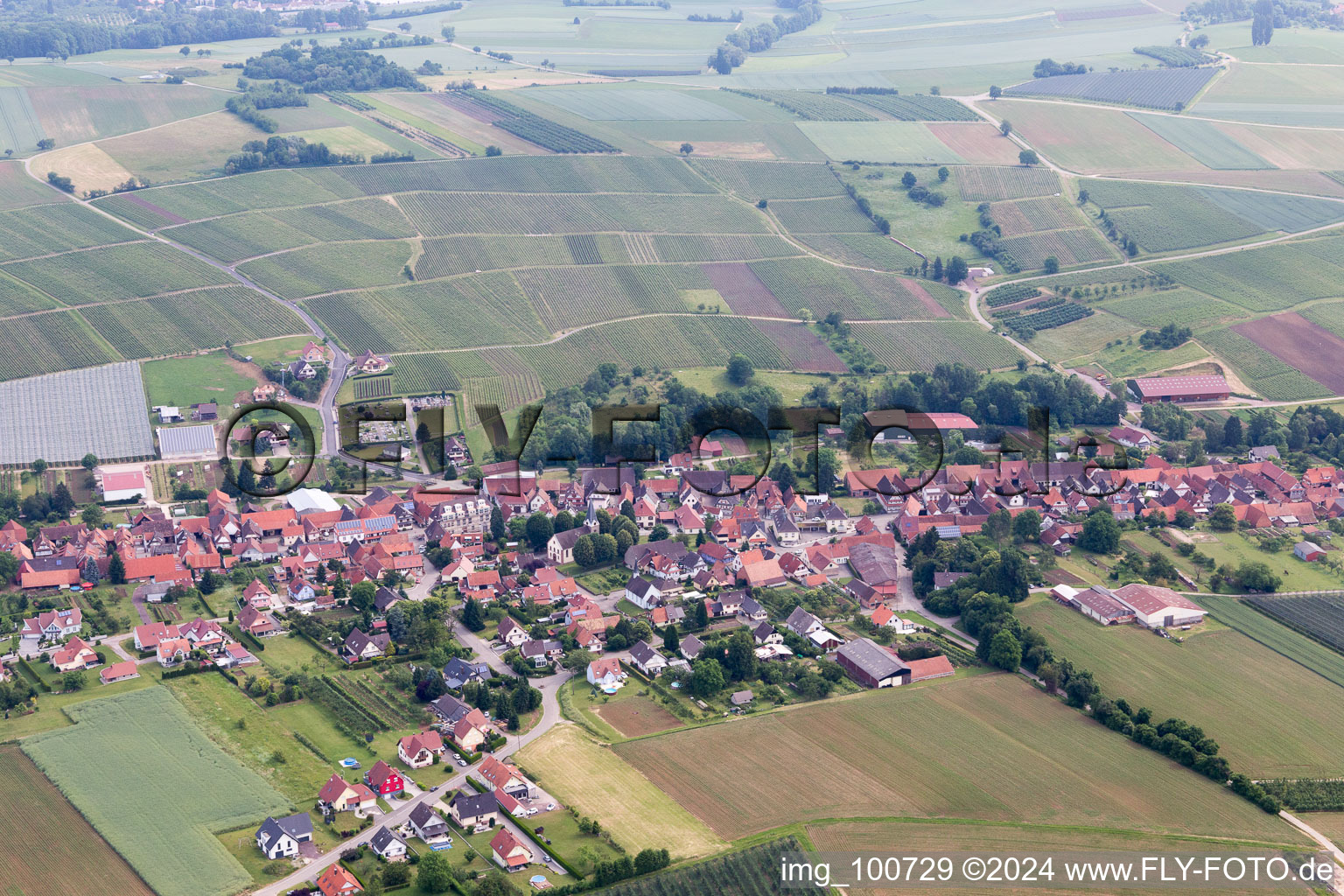 Steinseltz in the state Bas-Rhin, France from above