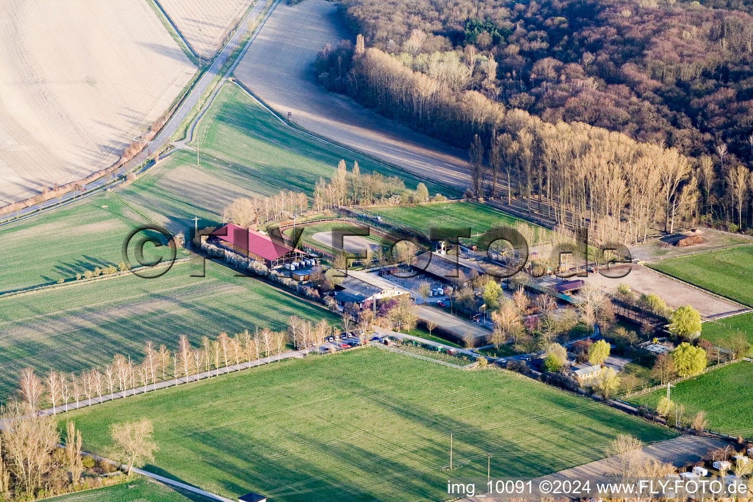 Aerial view of Altrip in the state Rhineland-Palatinate, Germany